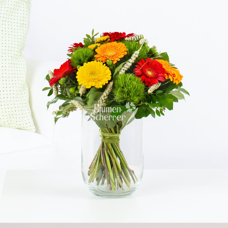 Gerbera "Dreifarbigkeit"