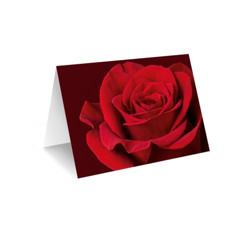 Grußkarte - rote Rose