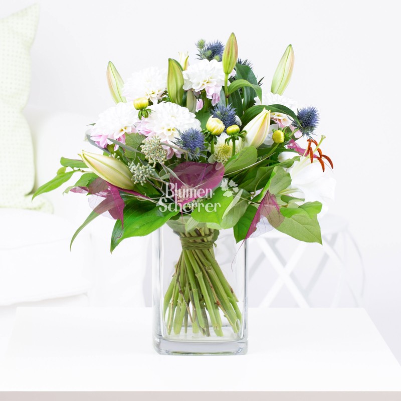 Dahlien "Light Lilac"